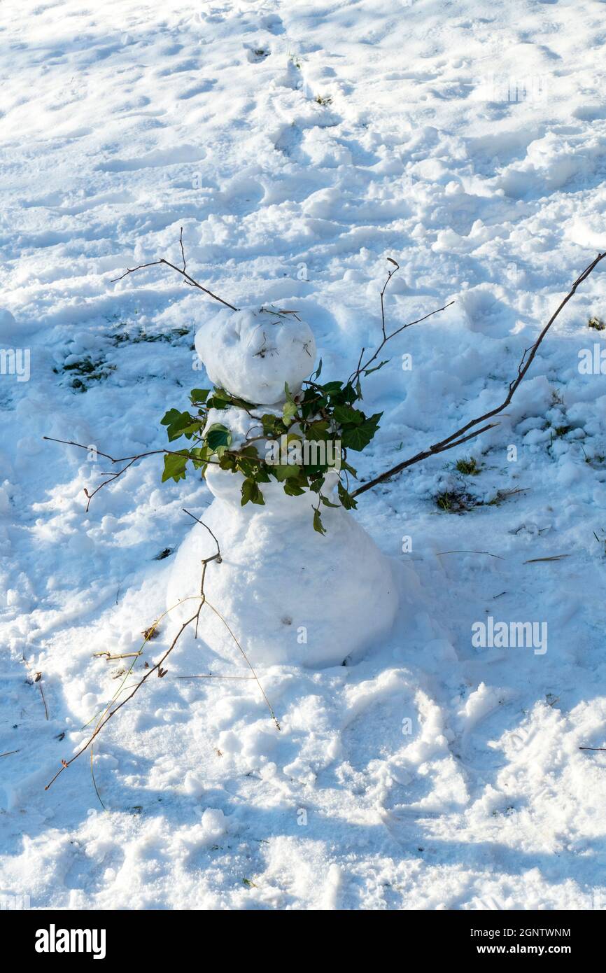 Schneefrau, Schneefrau mit einem Schal aus Efeu auf einer Wiese Banque D'Images