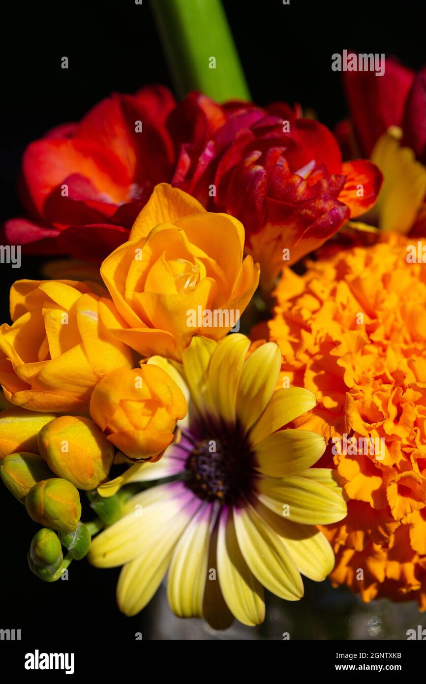 Bouquet de fleurs du jardin aux couleurs chaudes Banque D'Images