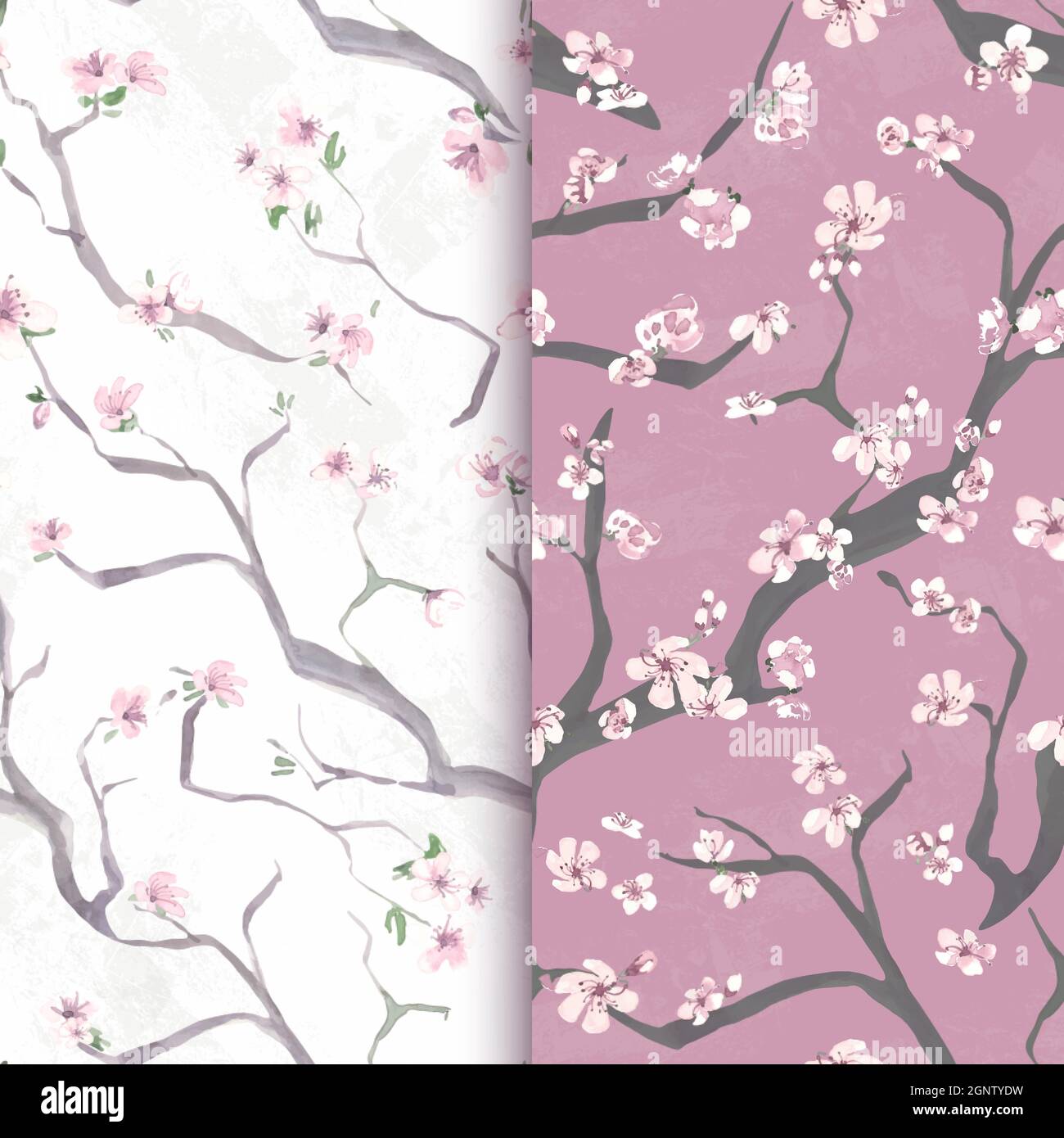 Fleur sakura sans couture. Fond d'écran vectoriel en cerisier. Japon  origine asiatique. Motif sakura aquarelle. Vintage printemps Image  Vectorielle Stock - Alamy
