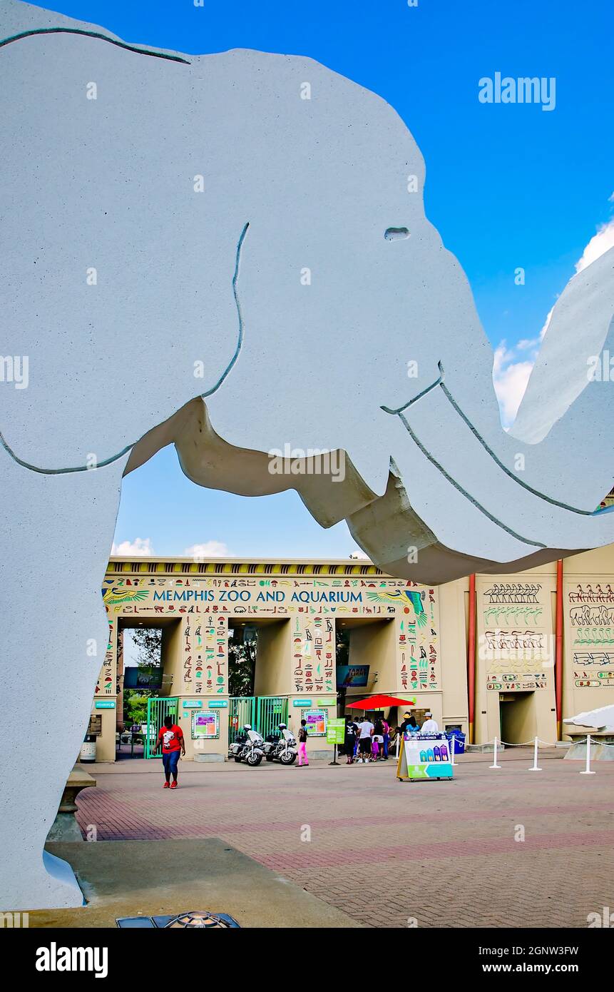 Un éléphant en béton décore l'entrée du Zoo de Memphis, le 8 septembre 2015, à Memphis, Tennessee. Le zoo propose plus de 3 500 animaux. Banque D'Images