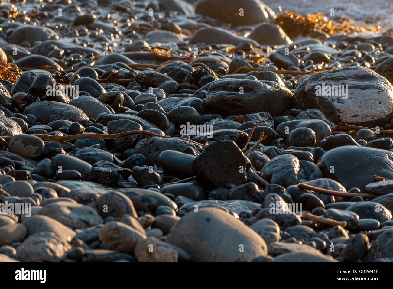 À la recherche de Jade sur une plage à Big sur. Banque D'Images