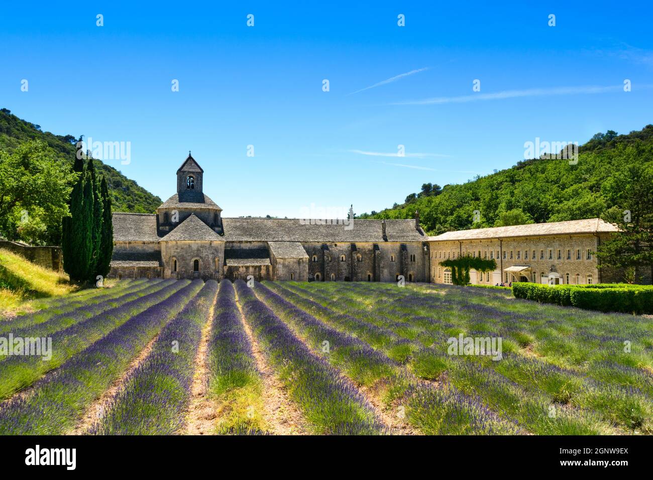 Abbaye de Sénanque et champ de lavande en France Banque D'Images