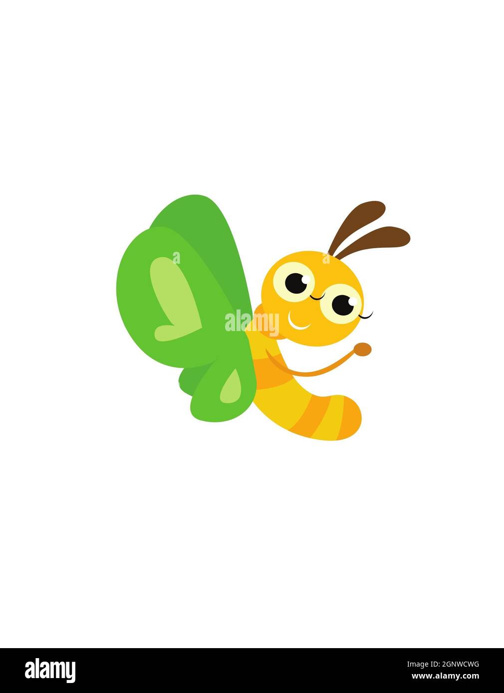 Mignon dessin animé insectes insecte mouche insecte miel abeille bourdon libellule papillon insectes isolés sur fond blanc Banque D'Images