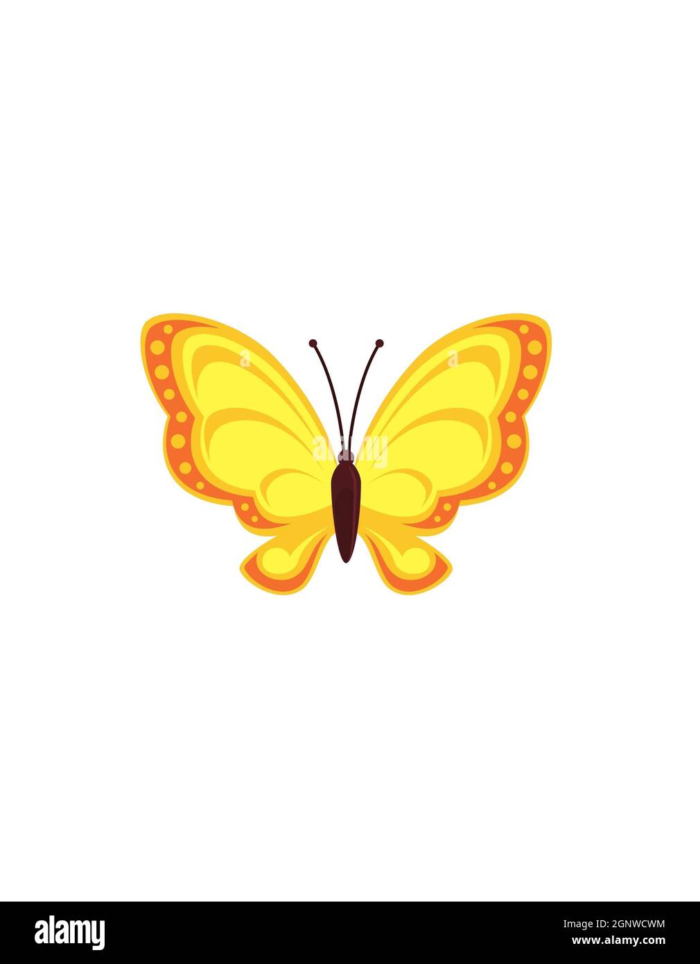 Mignon dessin animé insectes insecte mouche insecte miel abeille bourdon libellule papillon insectes isolés sur fond blanc Banque D'Images