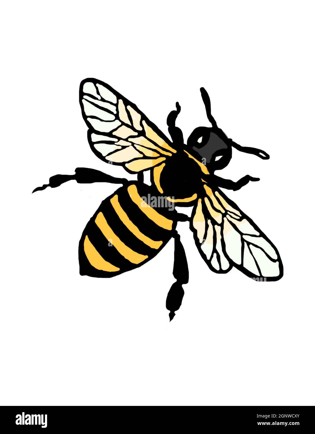 Mignon dessin animé insectes insecte mouche insecte miel abeille bourdon libellule papillon insectes isolés sur fond blanc Banque D'Images