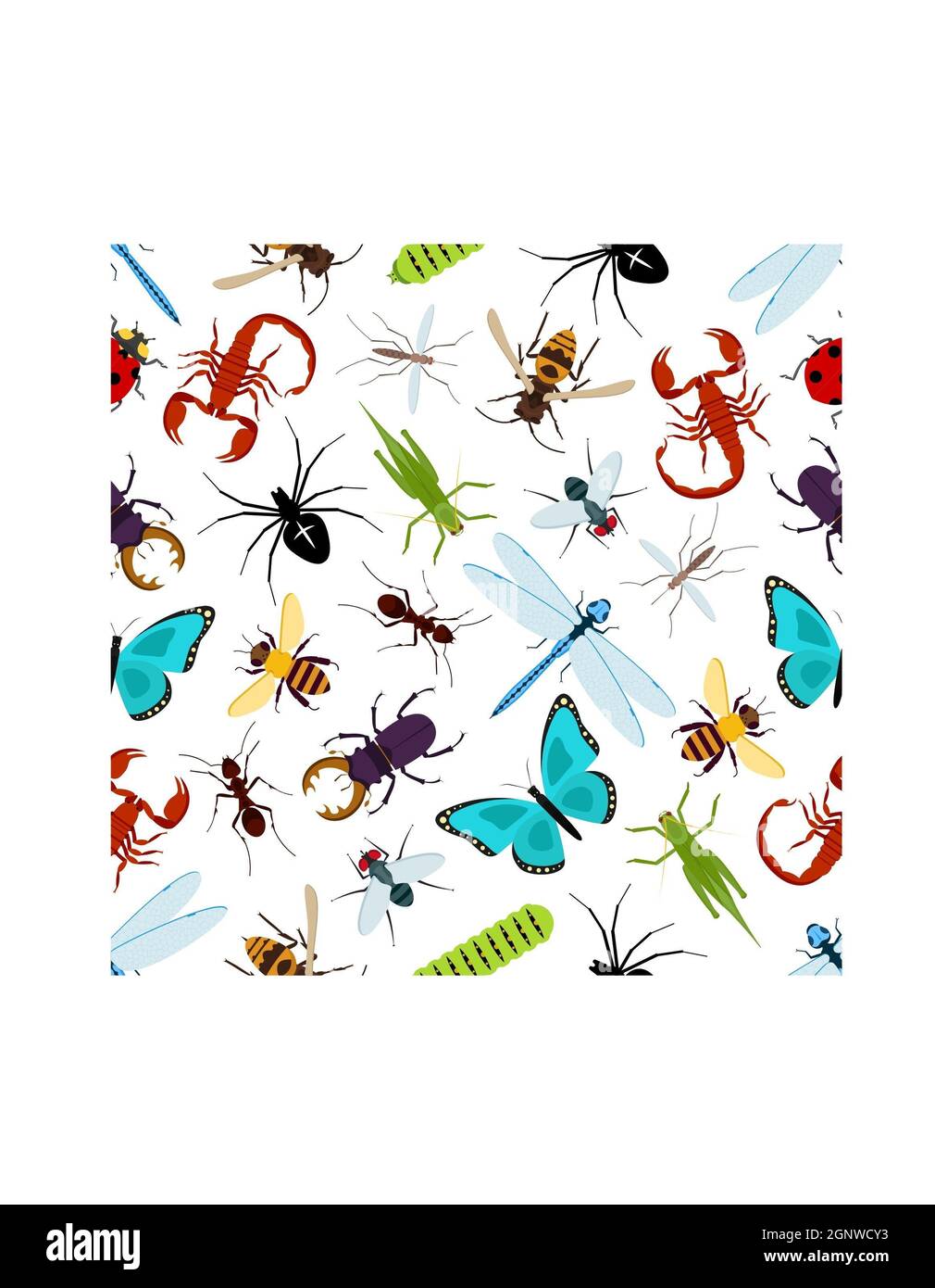 Mignon dessin animé insectes insecte mouche insecte miel abeille bourdon libellule papillon insectes isolés sur fond blanc Banque D'Images