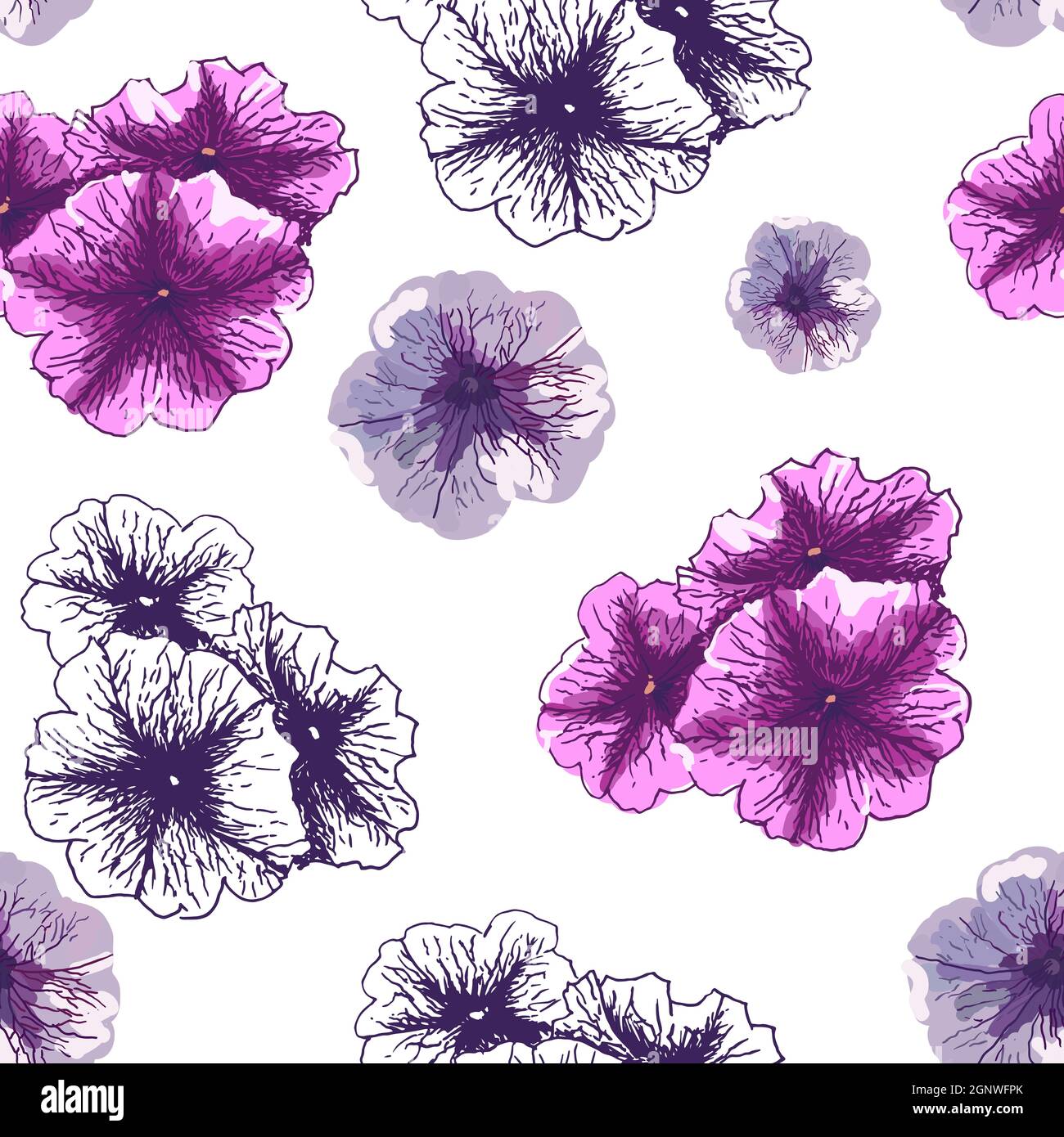 Motif vectoriel sans couture, fond blanc. Belles fleurs comme pétunia, design romantique. Joli imprimé fleuri pour le textile, le papier peint Illustration de Vecteur