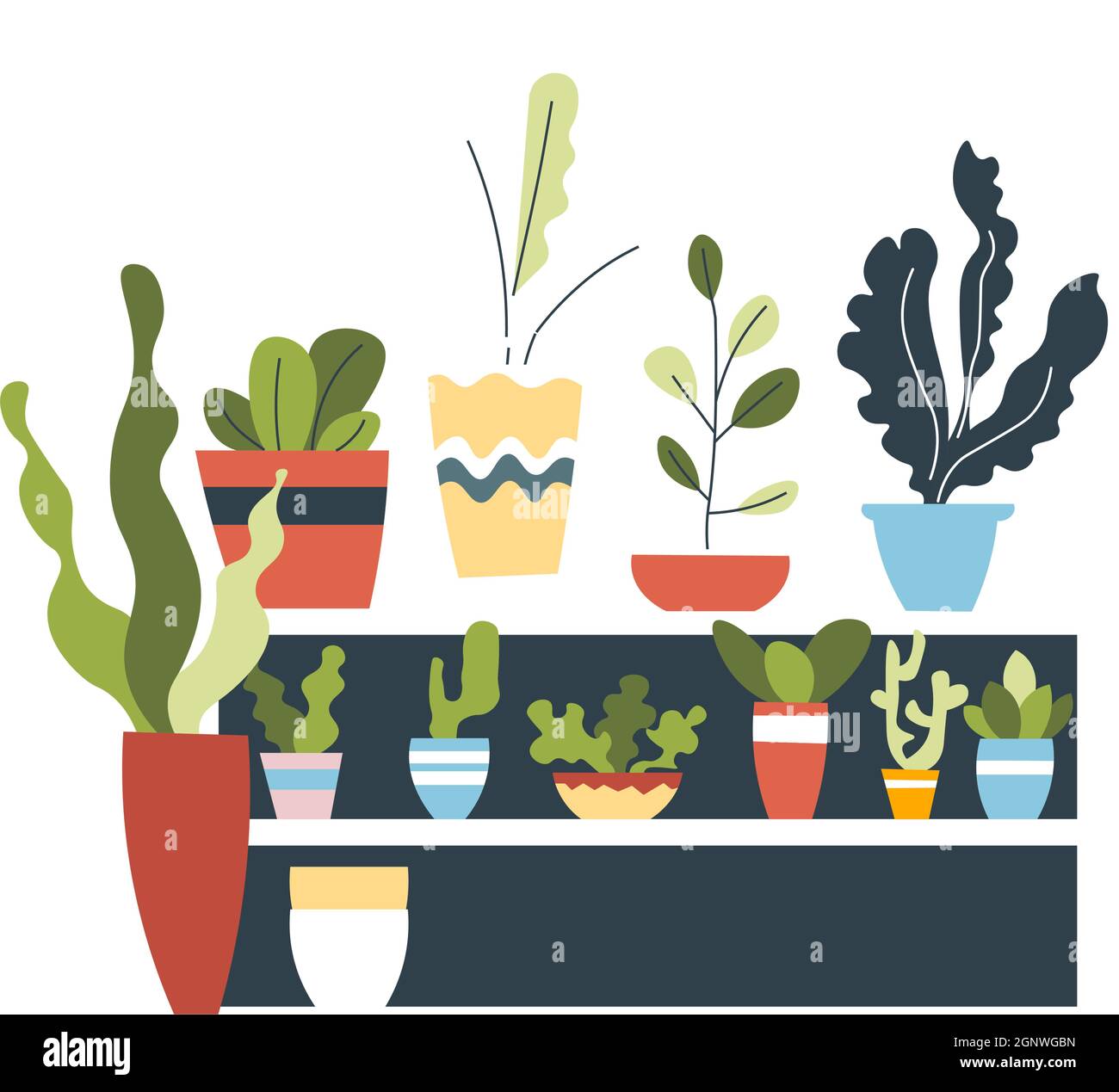 Fleurs et plantes de maison dans la décoration pots et vases Illustration de Vecteur