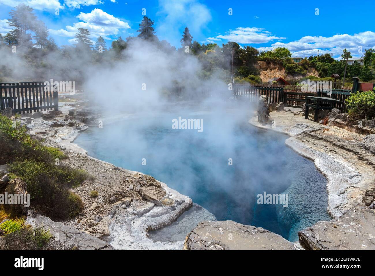 Zone thermale de Whakarewarewa, Rotorua, Nouvelle-Zélande. Une piscine géothermique Banque D'Images
