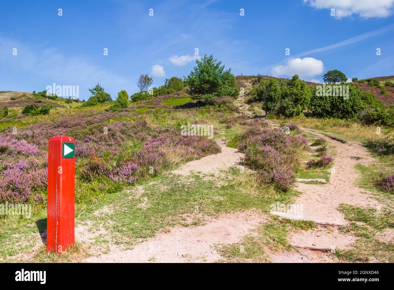 Panneau rouge pointant vers le sommet de la montagne Sonderland dans le parc national de Rebild Bakker, Danemark Banque D'Images