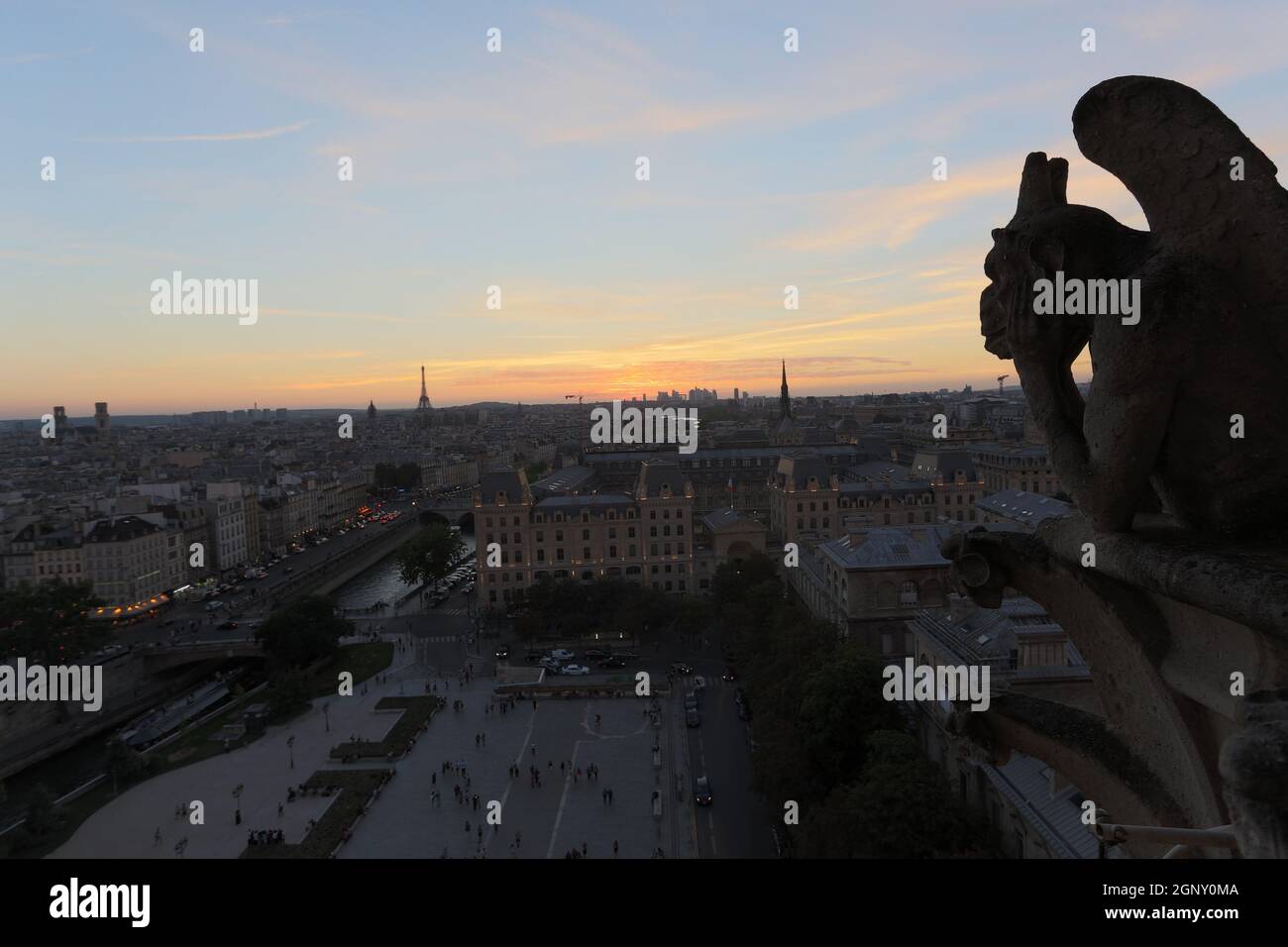 Les Chimères de Notre Dame en regardant le coucher de soleil à Paris Banque D'Images