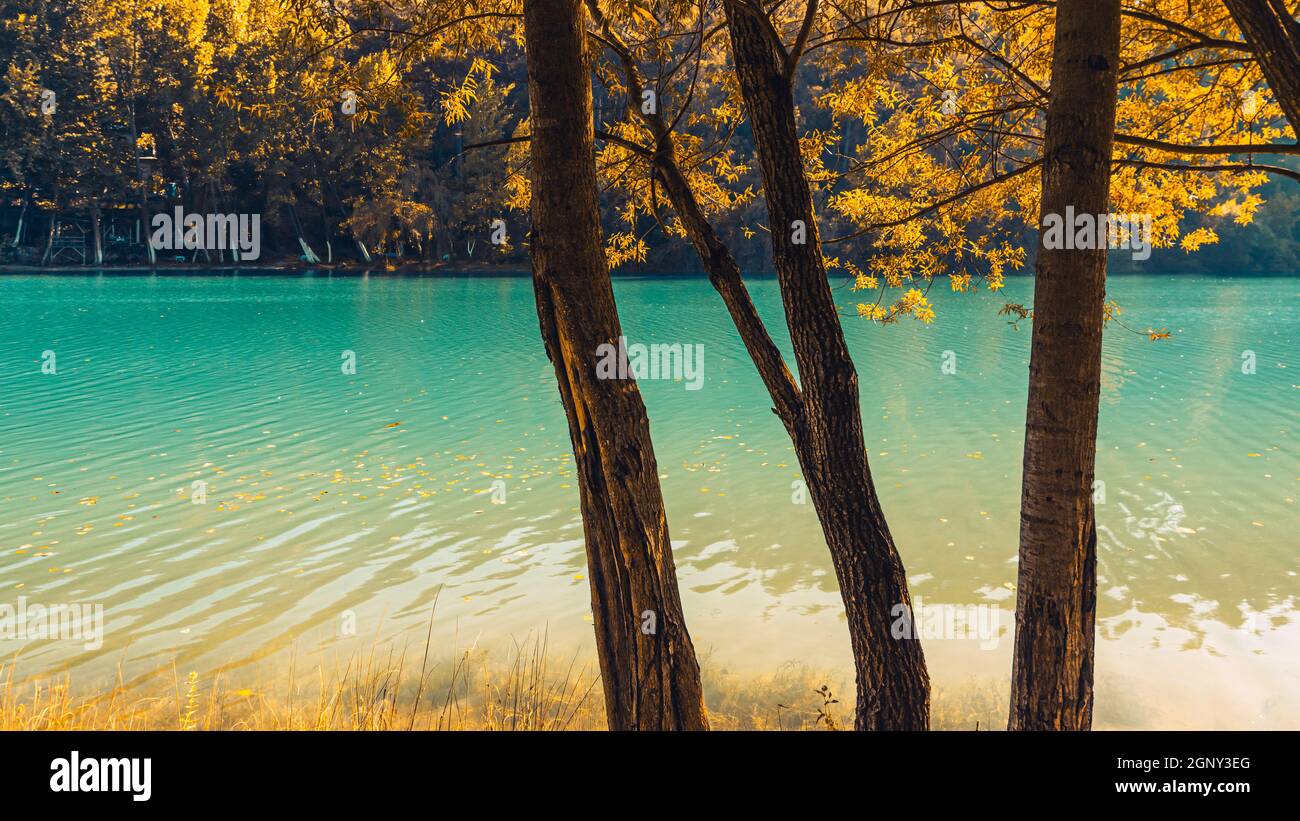 Couleurs d'automne avec détail lac et arbre. Banque D'Images