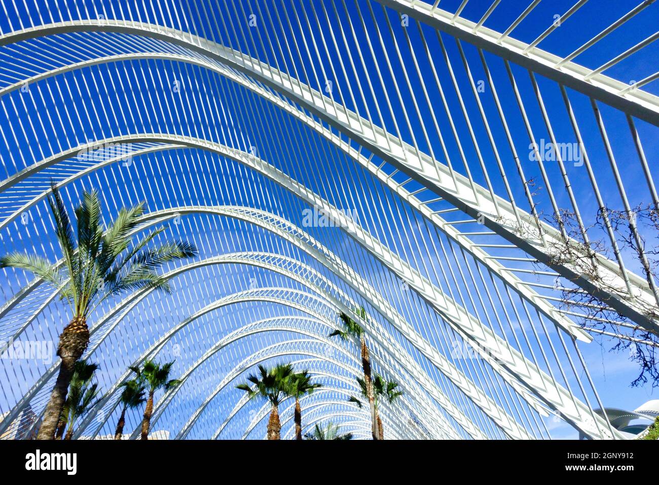 L'Umbracle construction aérée Espagne Valence Cité des Arts et des Sciences Valence Espagne l'architecture moderne de Calatrava Valencia Umbracle Banque D'Images