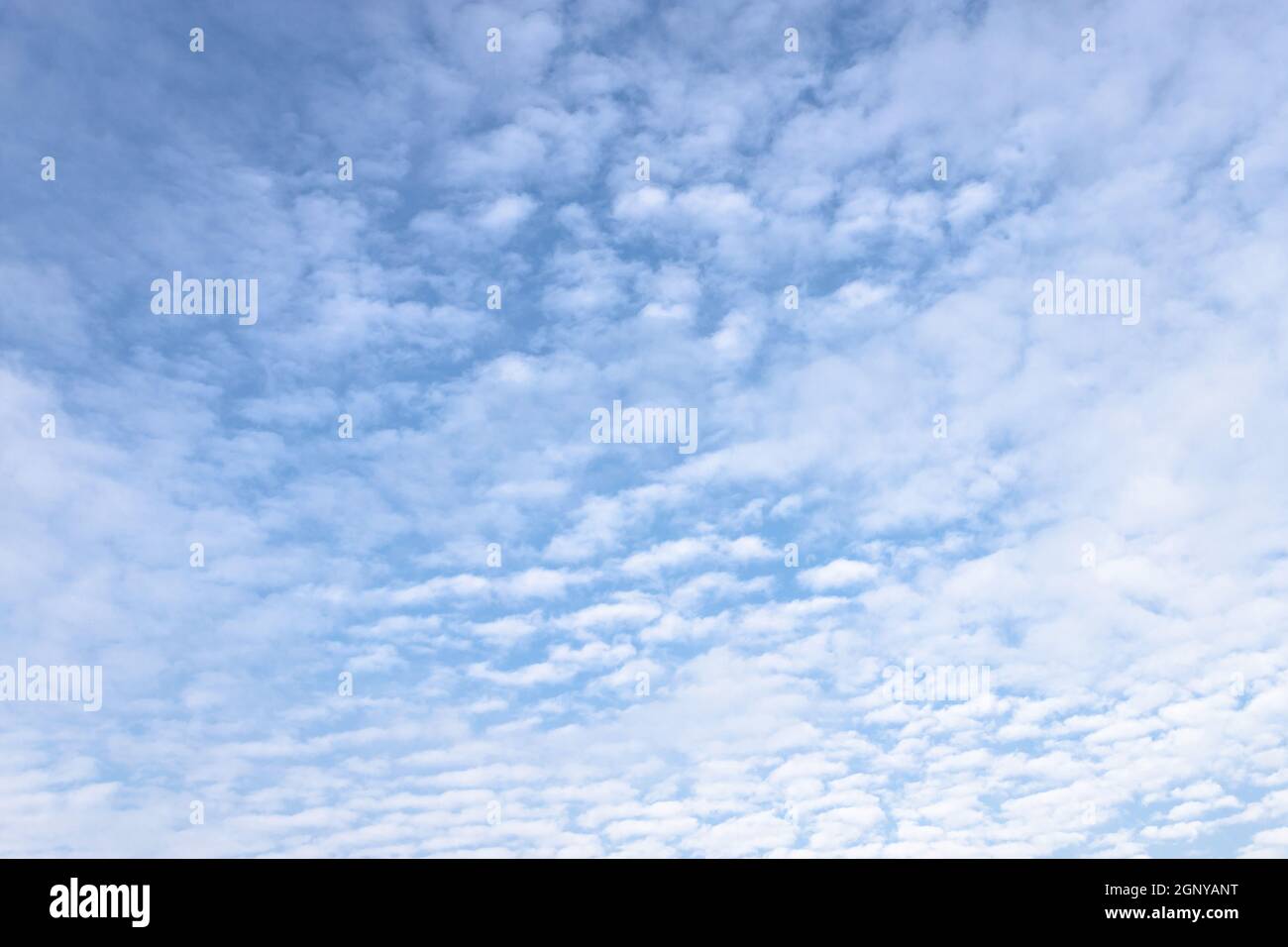 Des nuages blancs remplissent le ciel bleu. Idéal pour les concepts et les arrière-plans. Banque D'Images