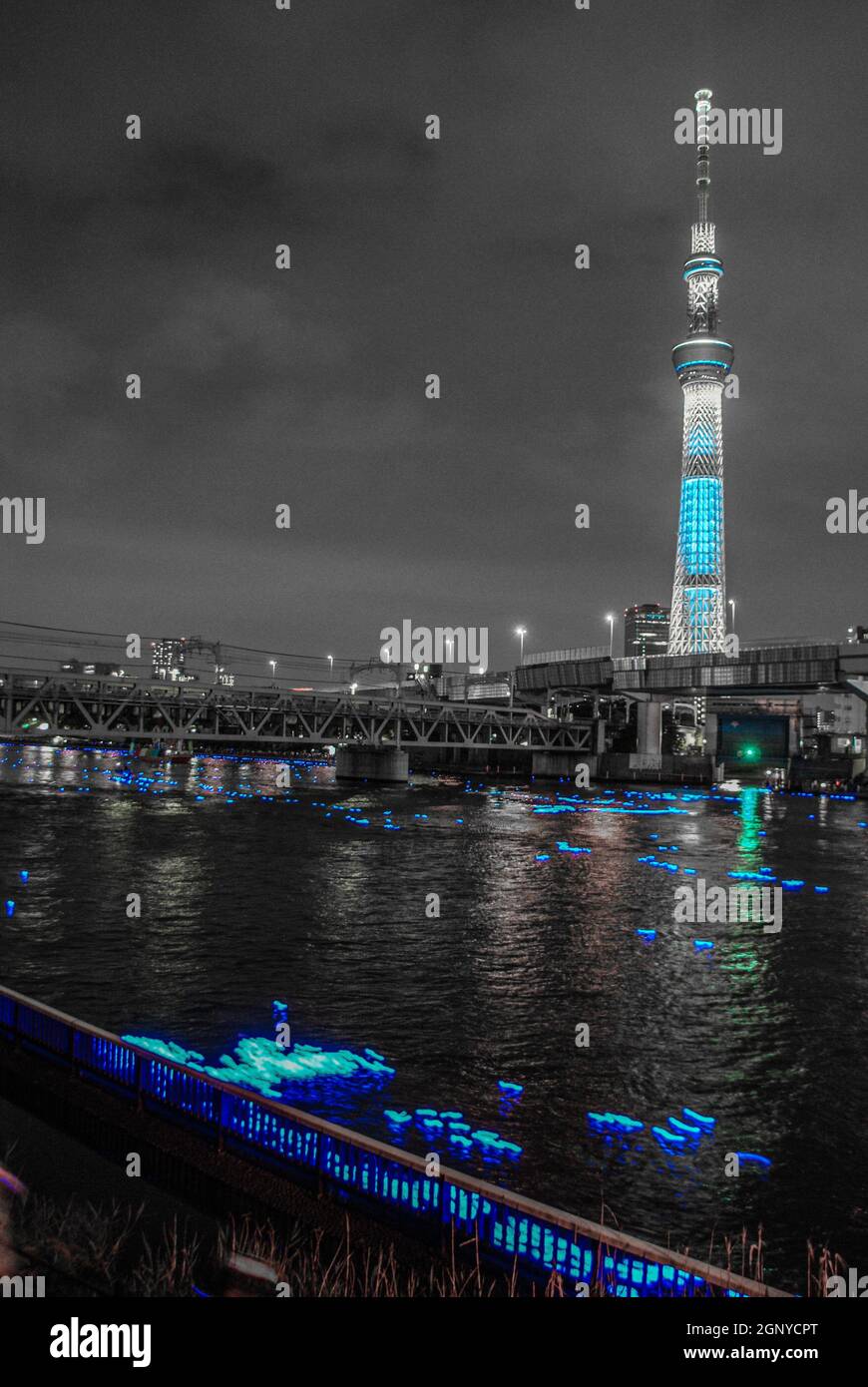 SONY DSC Banque D'Images