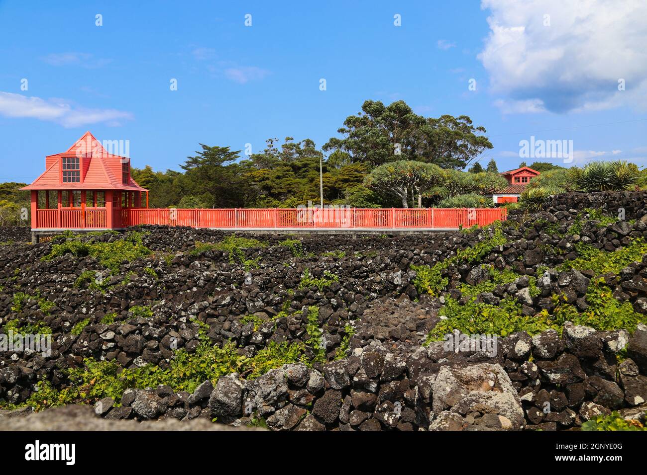 Ancienne architecture outre le musée du vin de Pico dans l'île des Açores de Pico, Portugal Banque D'Images