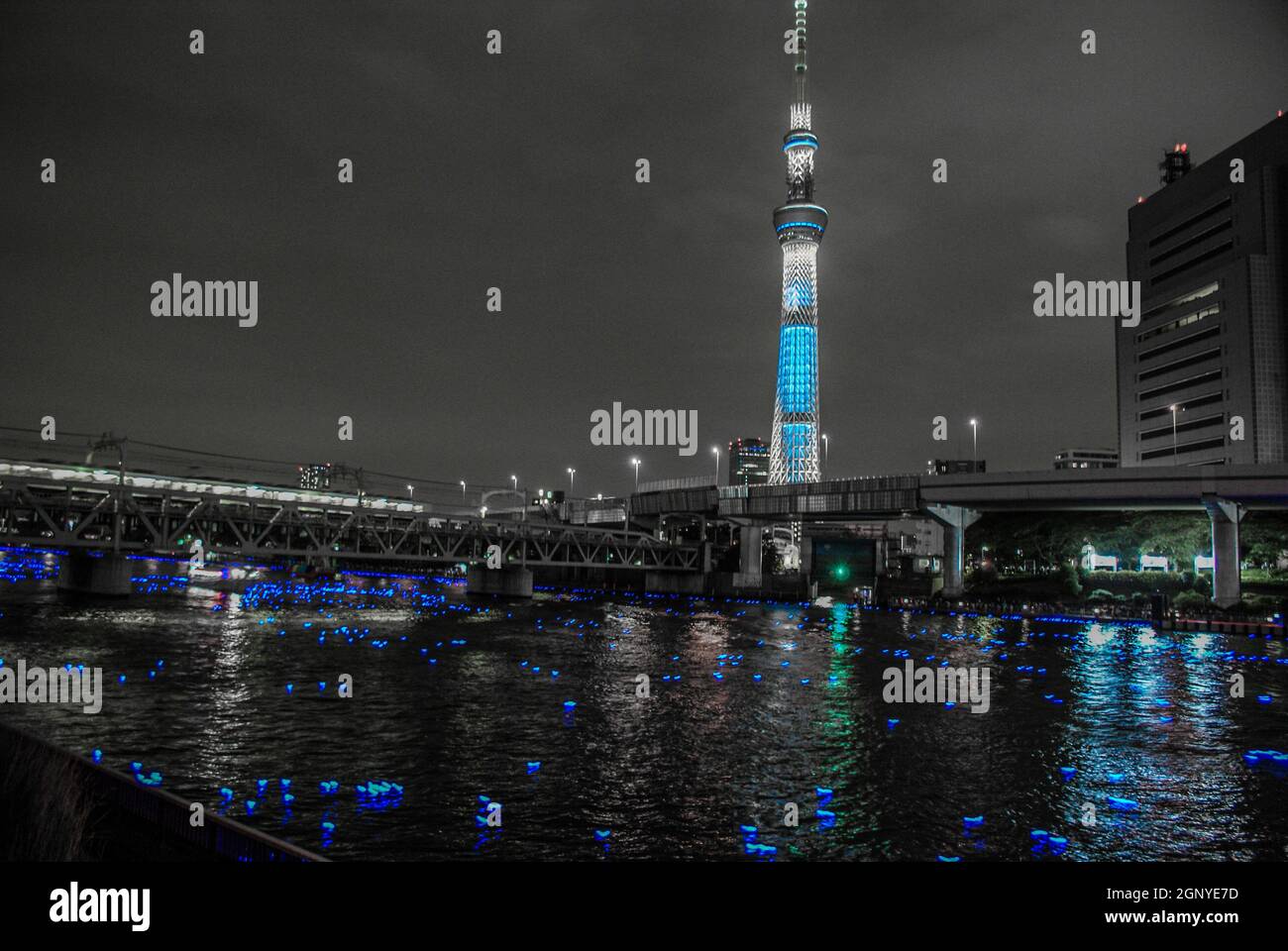 SONY DSC Banque D'Images