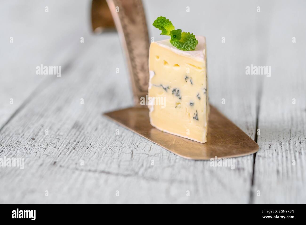 Coin de fromage bleu sous une croûte de moule blanc Banque D'Images