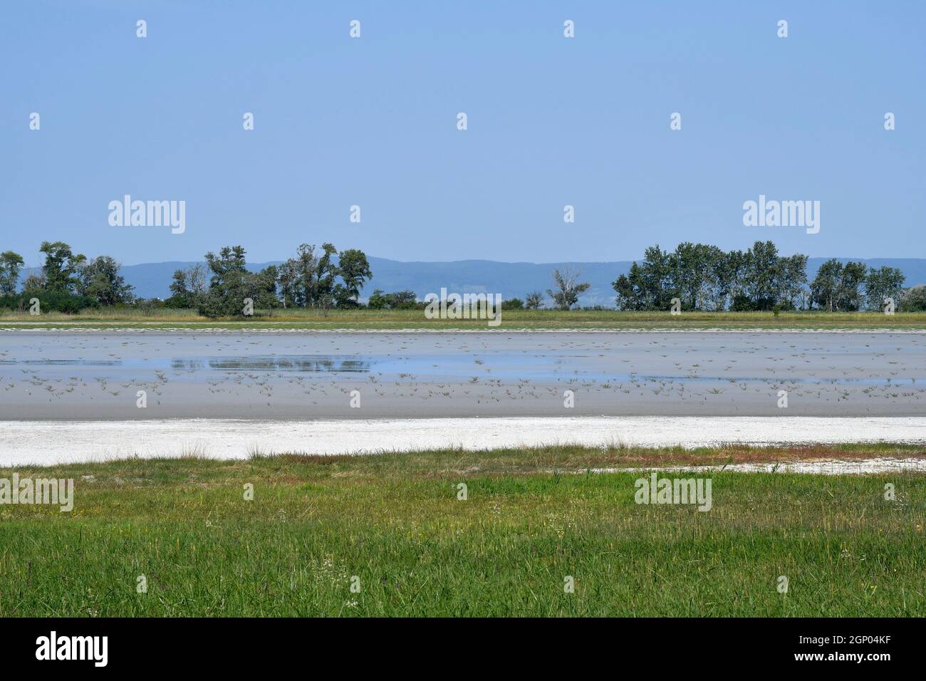 Autriche, parc national de Neusiedlersee-Seewinkel au Burgenland dans les basses terres de Pannonian, destination d'excursion populaire avec paysage de steppe, zones humides, Banque D'Images