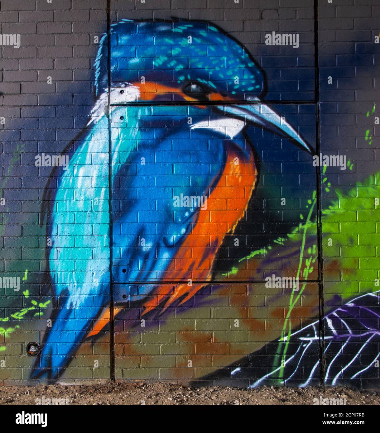 Street Art - Wall Art mettant en vedette des Kingfishers (Alcedo atthis), comme vu sur les ponts de la rivière aire à Leeds West Yorkshire au Royaume-Uni Banque D'Images