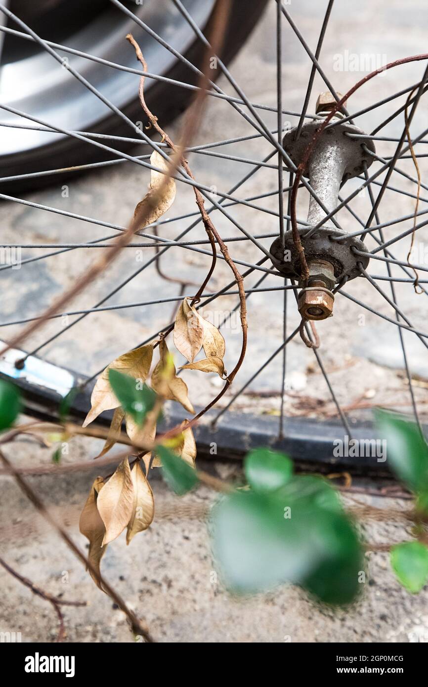 Vieille roue de vélo avec des feuilles sèches sur elle jetée dans la ville. Roue de voiture en arrière-plan.Déchets dans la ville. Ferraille.Pollution écologique Banque D'Images