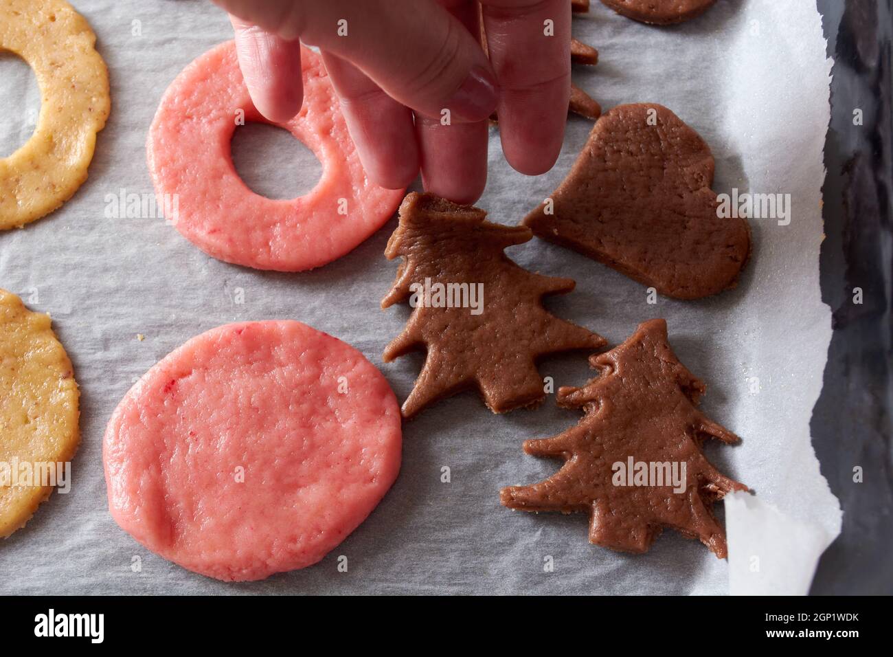 Couper les biscuits de la pâte et préparer le four le stowe électrique Banque D'Images