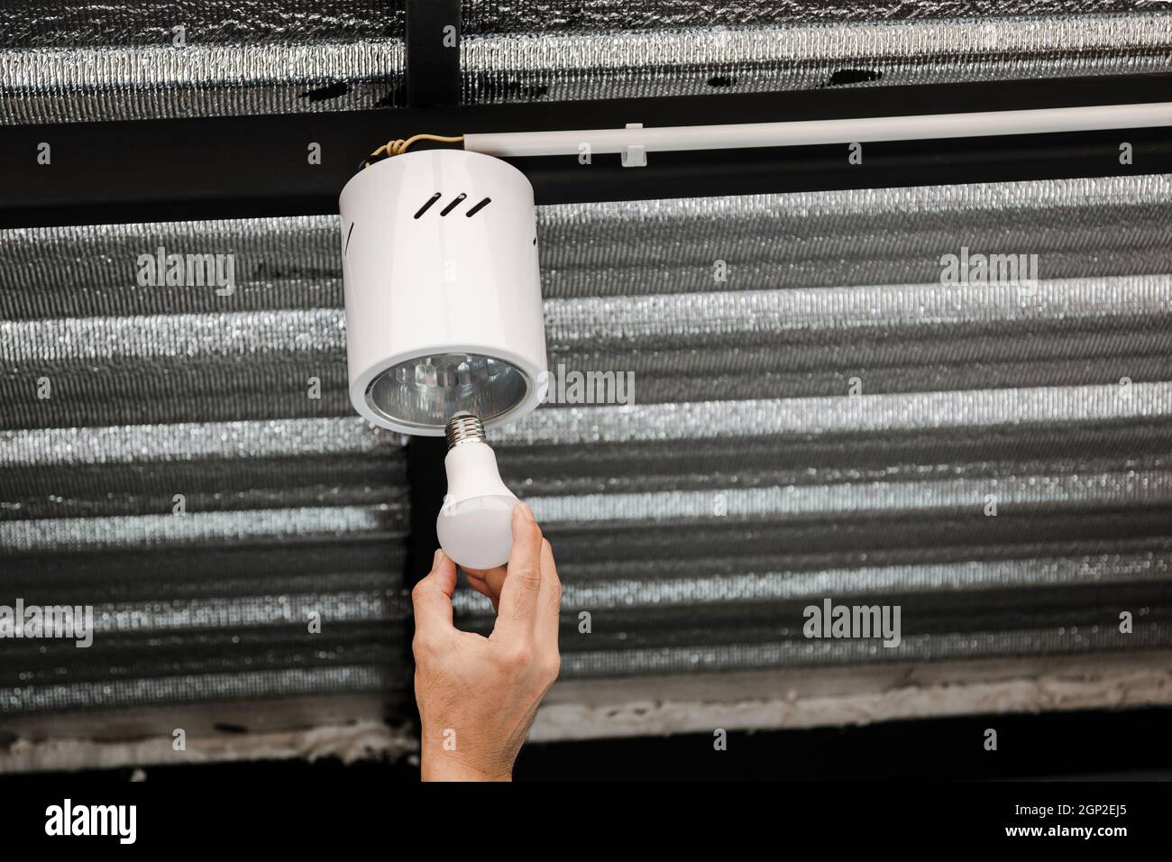 Une main humaine en gros plan installe une ampoule LED dans un plafonnier circulaire. Banque D'Images Une main humaine en gros plan installe une ampoule LED dans un plafonnier circulaire. Banque D'Images