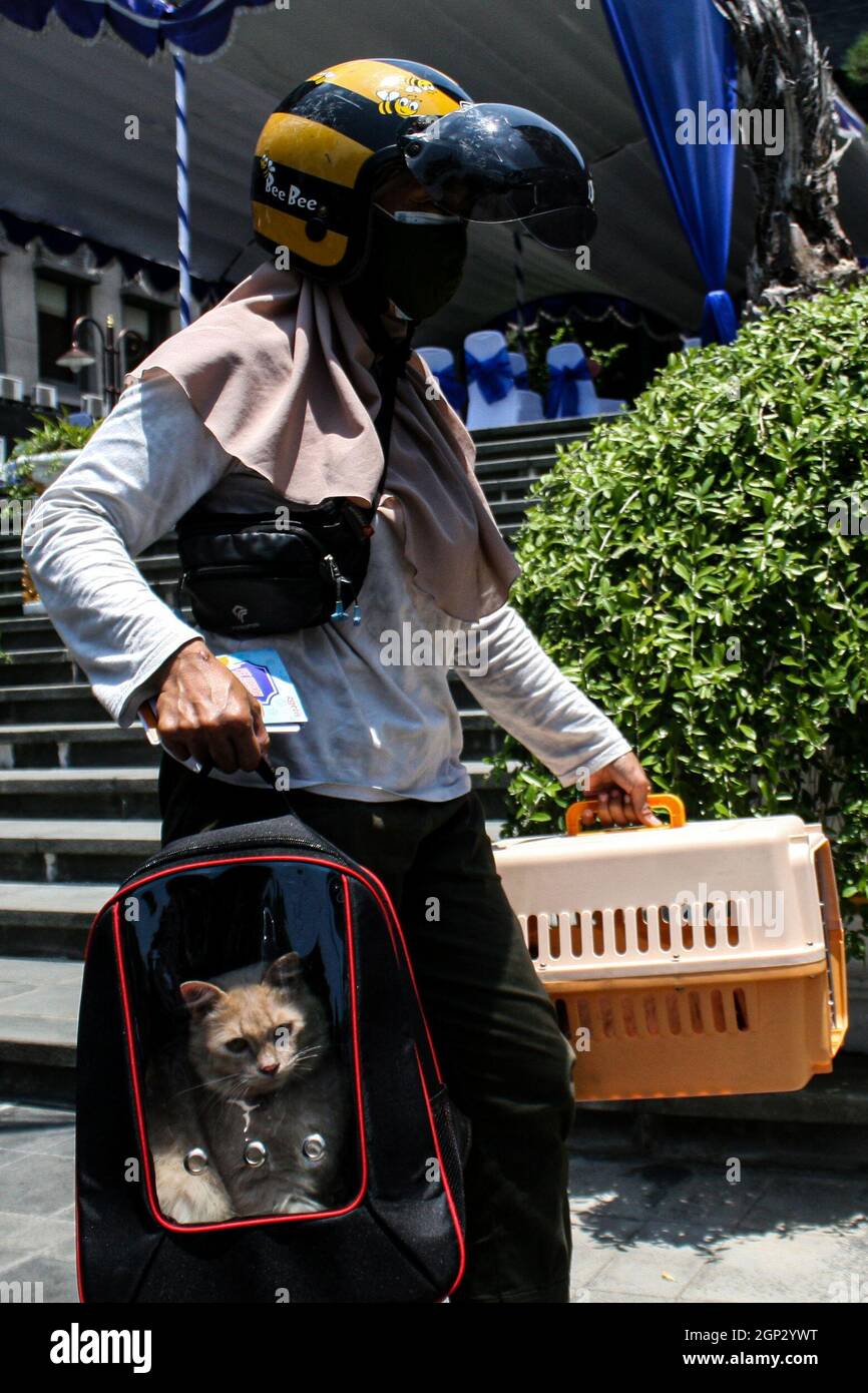 Surabya, Indonésie. 28 septembre 2021. Une femme emmène son chat dans un site de vaccination au volant où il recevra une dose de vaccin contre la rage le 28 septembre 2021, à Surabaya, Java-est, Indonésie. La Journée mondiale de la rage est célébrée chaque année afin de sensibiliser la population à la prévention de la rage et de souligner les progrès réalisés dans la lutte contre la maladie. Credit: Kurniawan/Xinhua/Alay Live News Banque D'Images