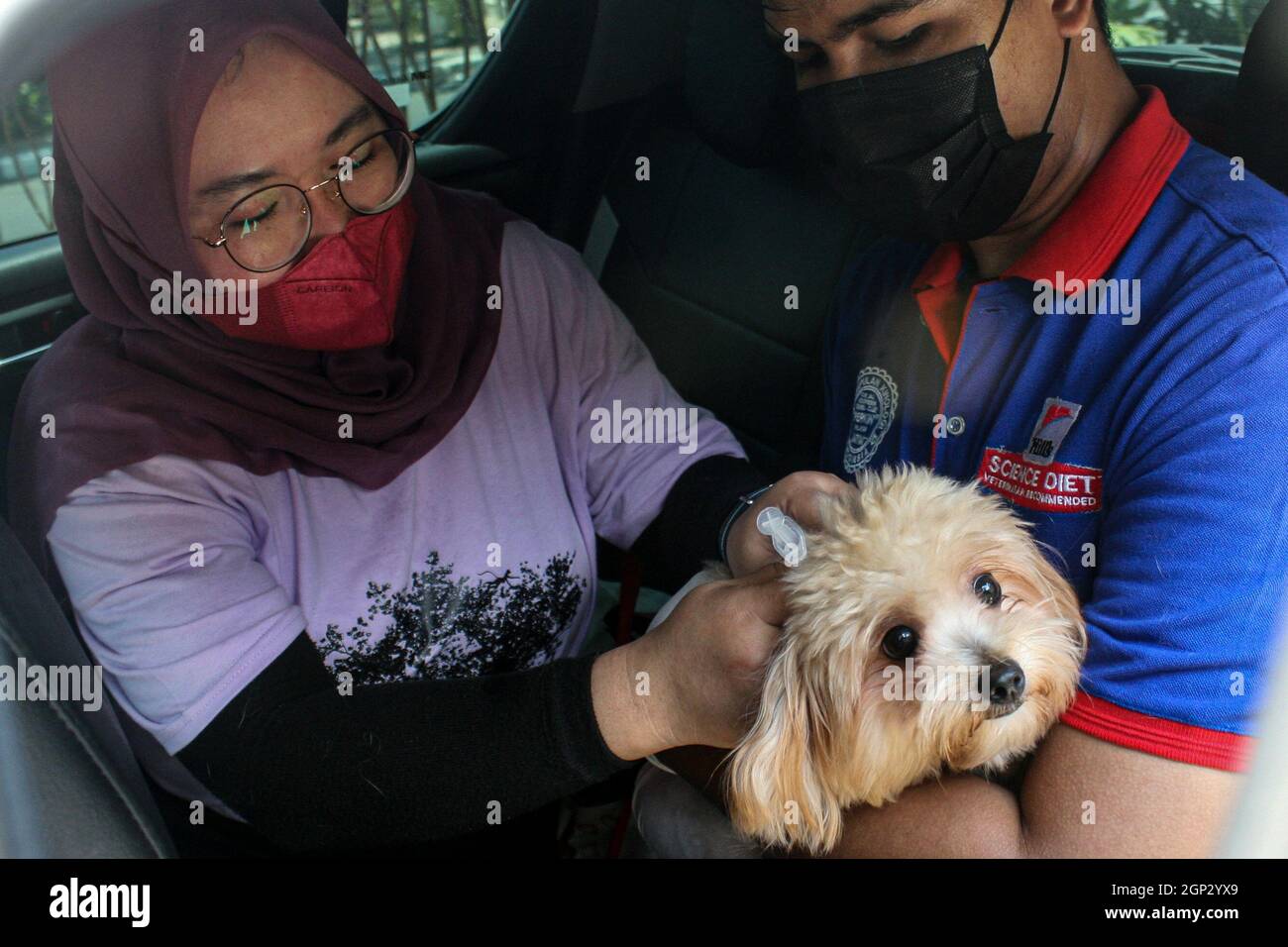 Surabya, Indonésie. 28 septembre 2021. Un vétérinaire donne à un chien une dose de vaccin contre la rage le jour de la rage mondiale, à un site de vaccination au volant à Surabaya, Java-est, Indonésie, le 28 septembre 2021. La Journée mondiale de la rage est célébrée chaque année afin de sensibiliser la population à la prévention de la rage et de souligner les progrès réalisés dans la lutte contre la maladie. Credit: Kurniawan/Xinhua/Alay Live News Banque D'Images