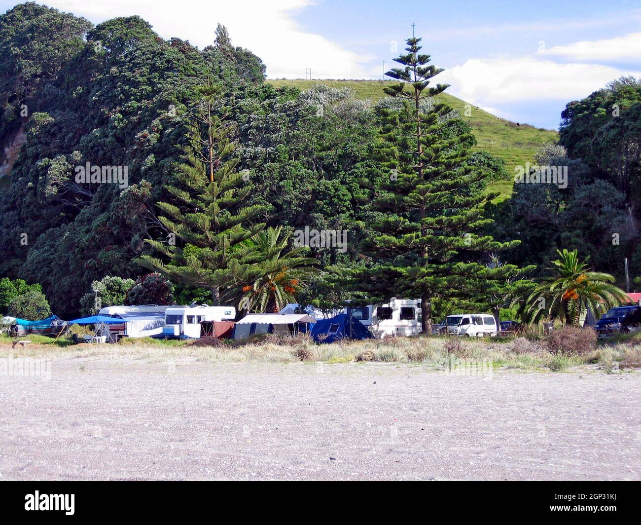 Les camping-cars et les tentes sur la plage le long de la rive est de l'île du Nord en Nouvelle-Zélande pendant les vacances de Noël est une tradition de vacances.Le camping à Noël est une tradition Kiwi soutenue par la capacité de camper librement dans tout le pays, connu comme le camping de liberté. Banque D'Images