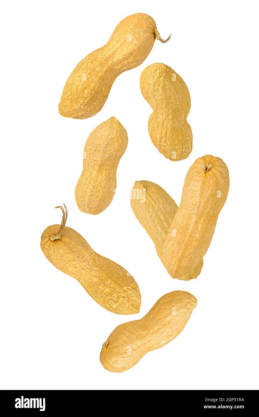 Écrous isolés. Sept cacahuètes entières avec la coquille tombant sur blanc avec le chemin d'écrêtage comme élément de conception d'emballage. Profondeur de champ complète. La lévitation alimentaire Banque D'Images
