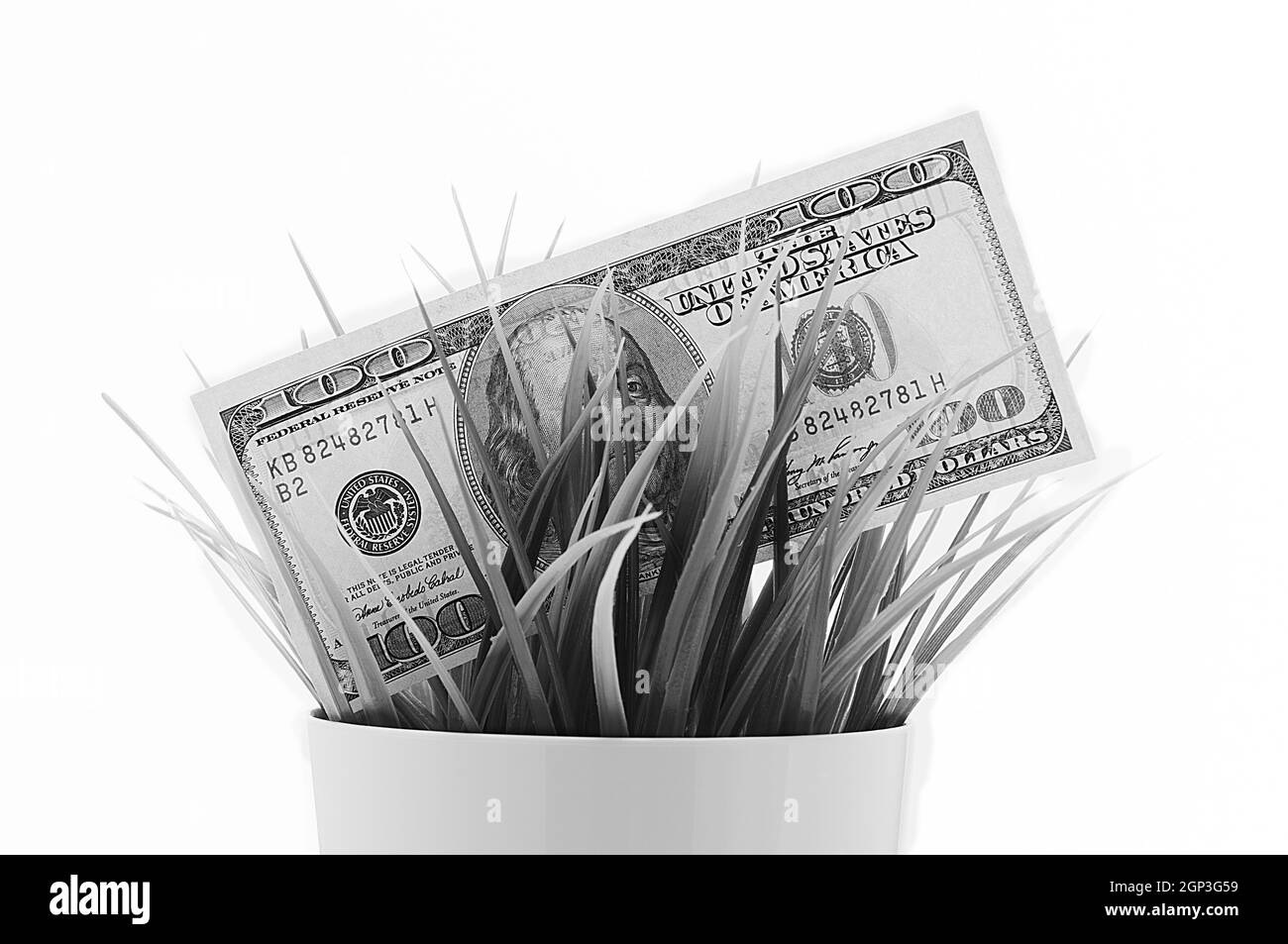 Encaisser une centaine de billets américains dans l'herbe isolée sur un fond blanc. Banque D'Images
