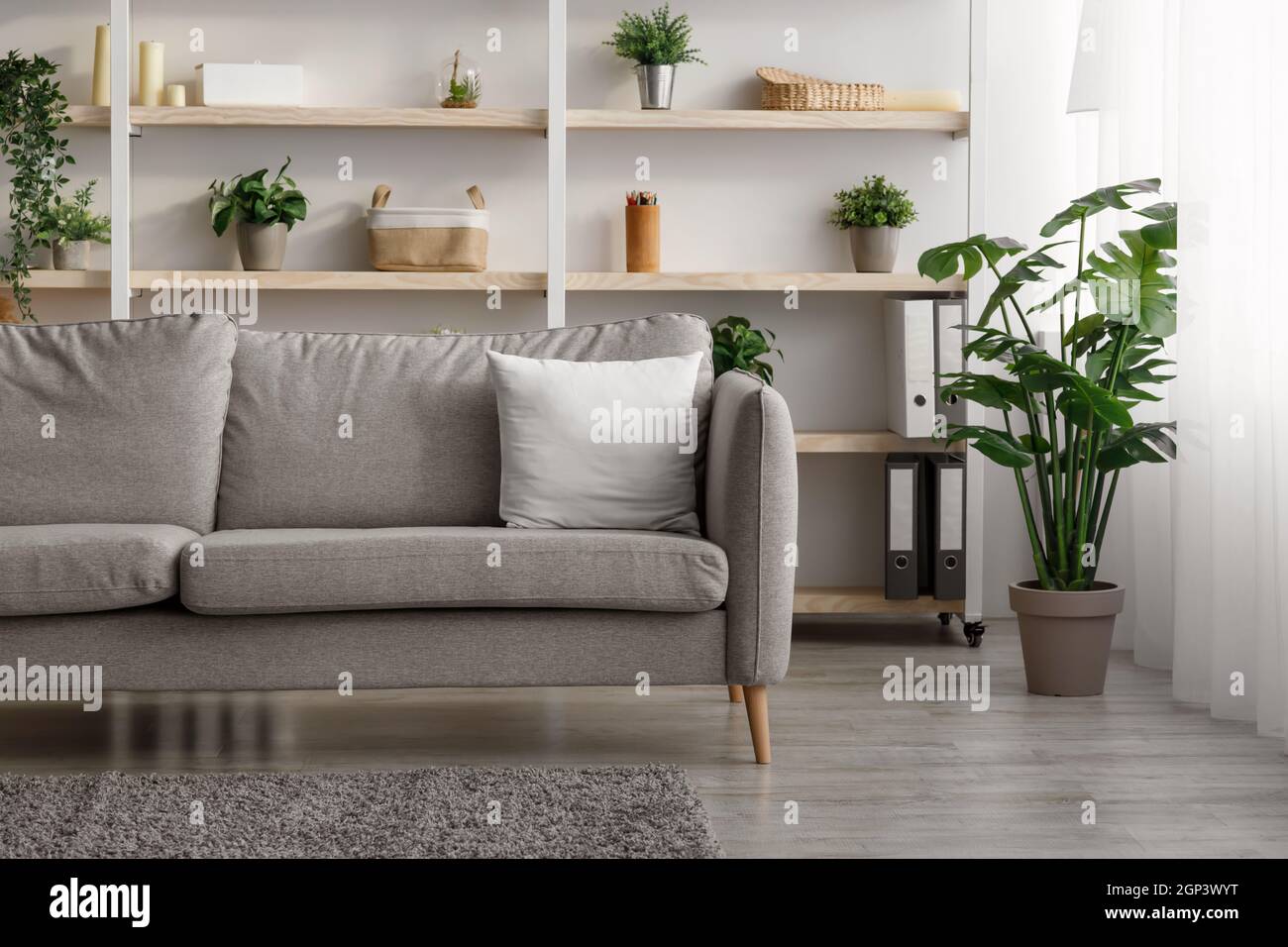 Intérieur de salon moderne avec canapé, étagères, accessoires et plantes  dans des pots à la maison, intérieur. Design scandinave simple dans la  maison, mobilier confortable Photo Stock - Alamy