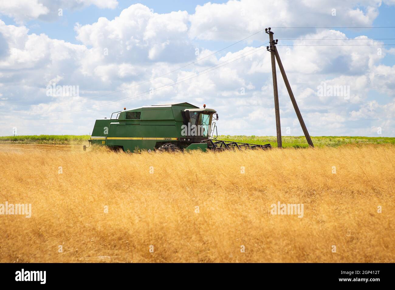 Récolte de gros champs de blé par une moissonneuse-batteuse. Jour ensoleillé. Agriculture Banque D'Images