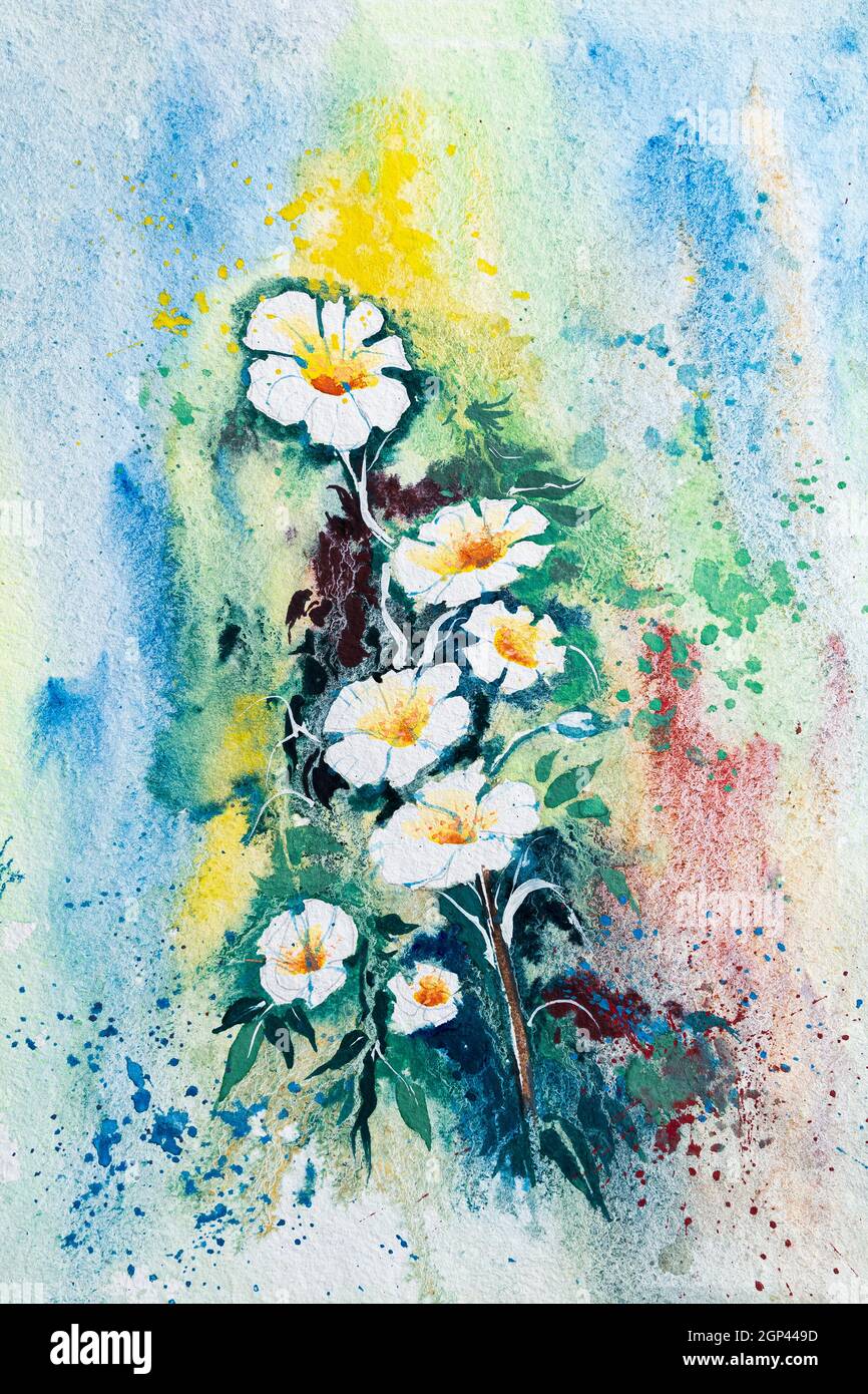 Belle peinture de fleur aquarelle avec fond blanc. Art indien aquarelle, paimé à la main par pinceau, couleur et eau sur papier blanc. Banque D'Images