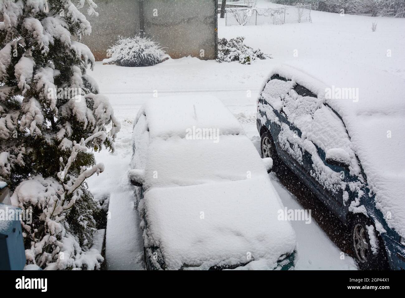 Deux voitures garées sur une route avec beaucoup de neige et de neige, avec des arbres et une maison en arrière-plan Banque D'Images