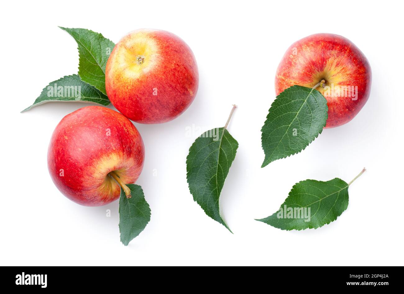 Pommes rouges fraîches avec feuilles vertes isolées sur fond blanc. Pomme de gala. Vue de dessus Banque D'Images