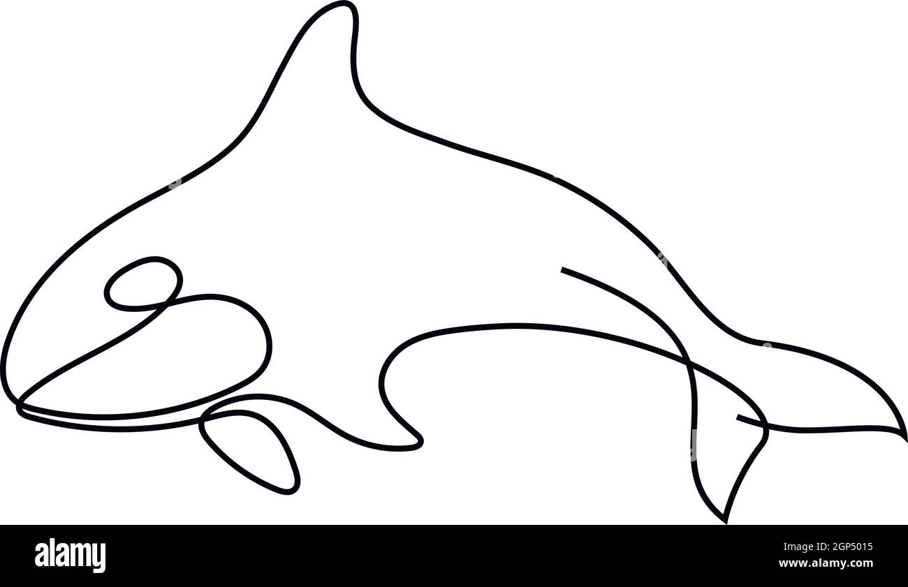 Une ligne silhouette d'orque. Illustration vectorielle de l'orque. Illustration de Vecteur