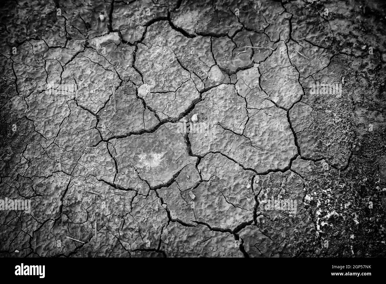 détail du changement climatique, de la destruction et de la chaleur, de la destruction de l'environnement Banque D'Images