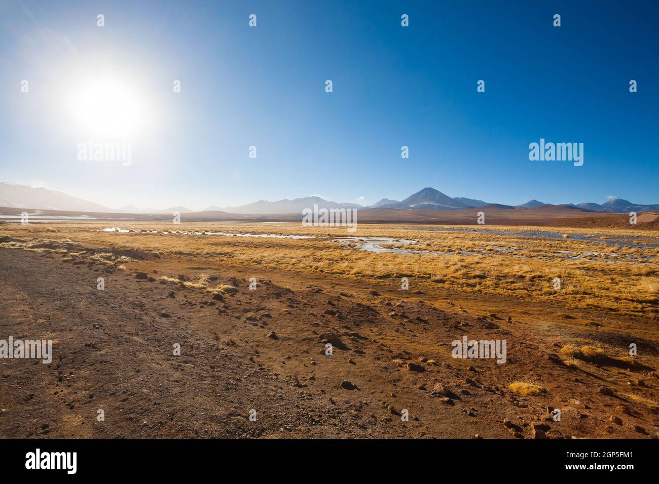 Paysage du Chili, le lagon et le volcan Licancabur. Panorama du Chili Banque D'Images