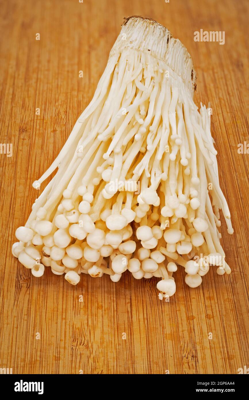 Enoki Mushroom, gros plan et photo de champignon en studio Banque D'Images