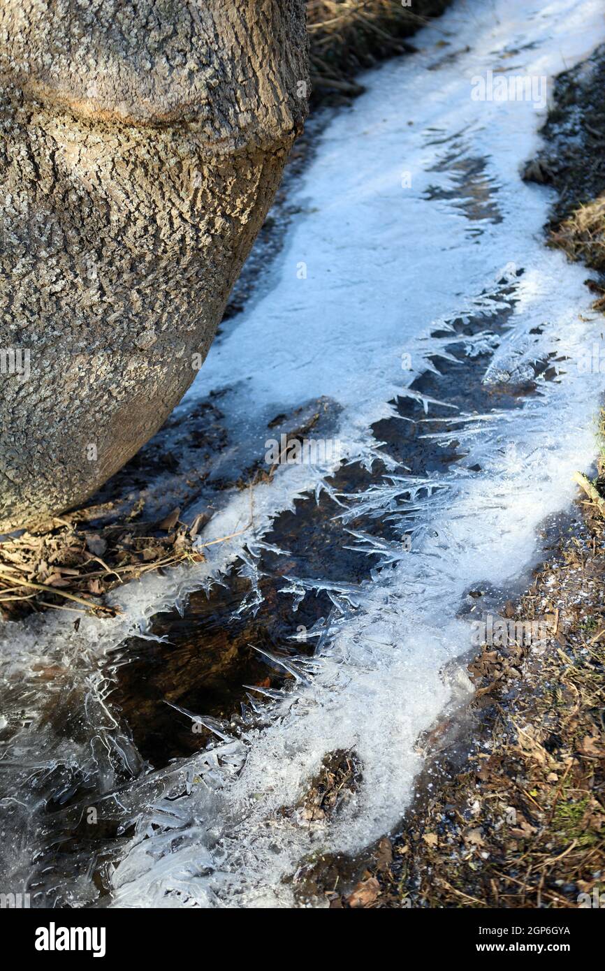 Eiskristale wachsen BEI Dauerfrost von den Ufern über einen kleinen Bach, Nordrhein-Westfalen, Deutschland, Weilerswist Banque D'Images