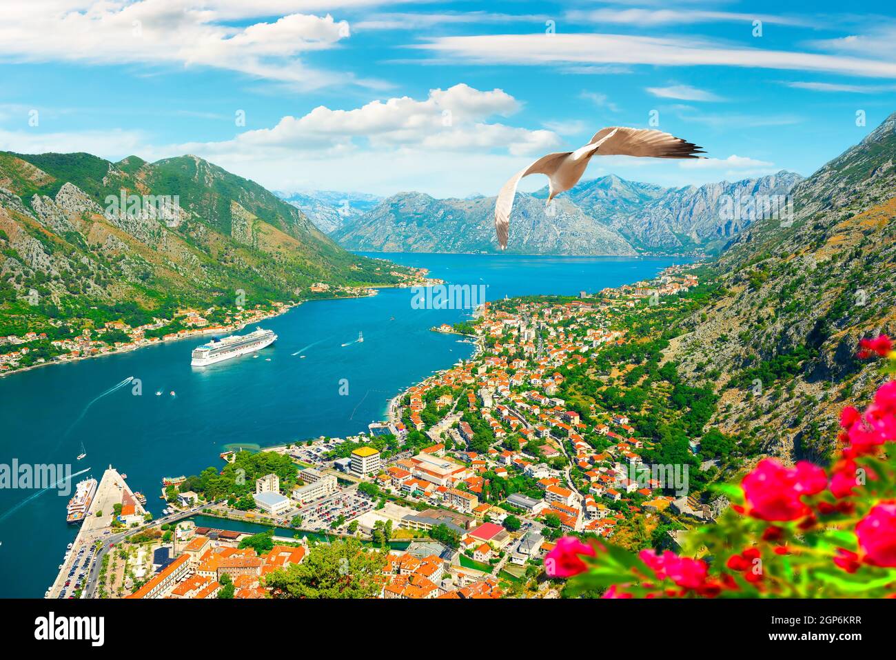 Vue sur le mouette et la baie de Kotor In Monténégro Banque D'Images