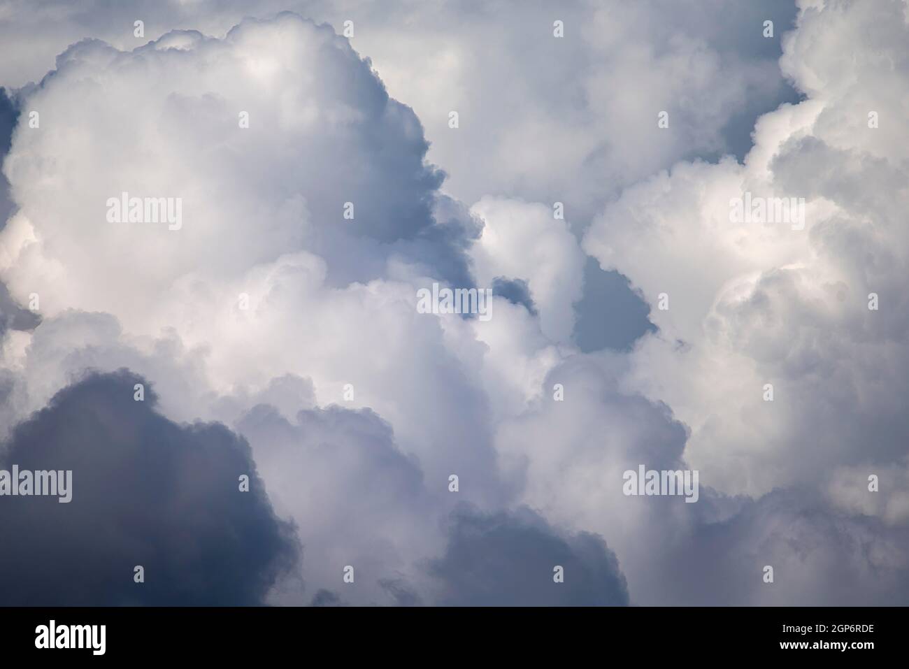 Cumulus (Cumulus), Bavière, Allemagne Banque D'Images