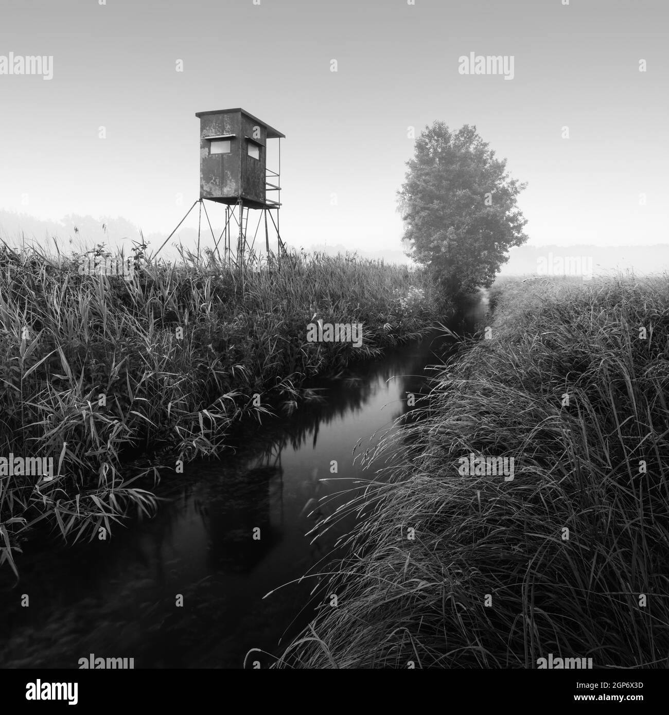 Paysage de plaine d'inondation allemande dans le Brandebourg avec siège haut sur la Nuthe en noir et blanc, Luckenwalde, Allemagne Banque D'Images