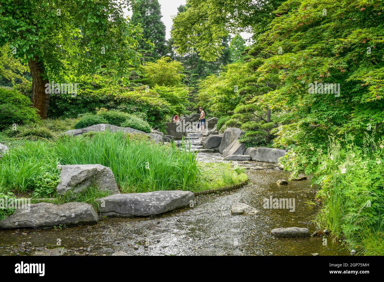 Jardin paysager japonais, Planten und Blomen, Hambourg, Allemagne Banque D'Images