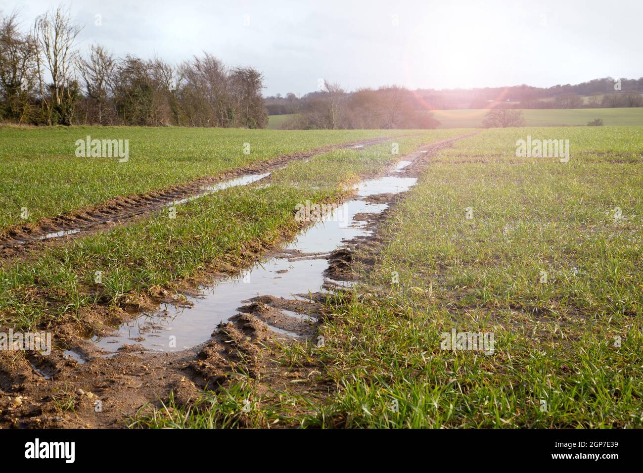 Boueux humide classé, route de campagne, route sale avec de l'eau après de fortes pluies, heure du printemps. Inonder l'eau dans les champs pendant la journée ensoleillée. Risques d'inondation mondiale et Banque D'Images