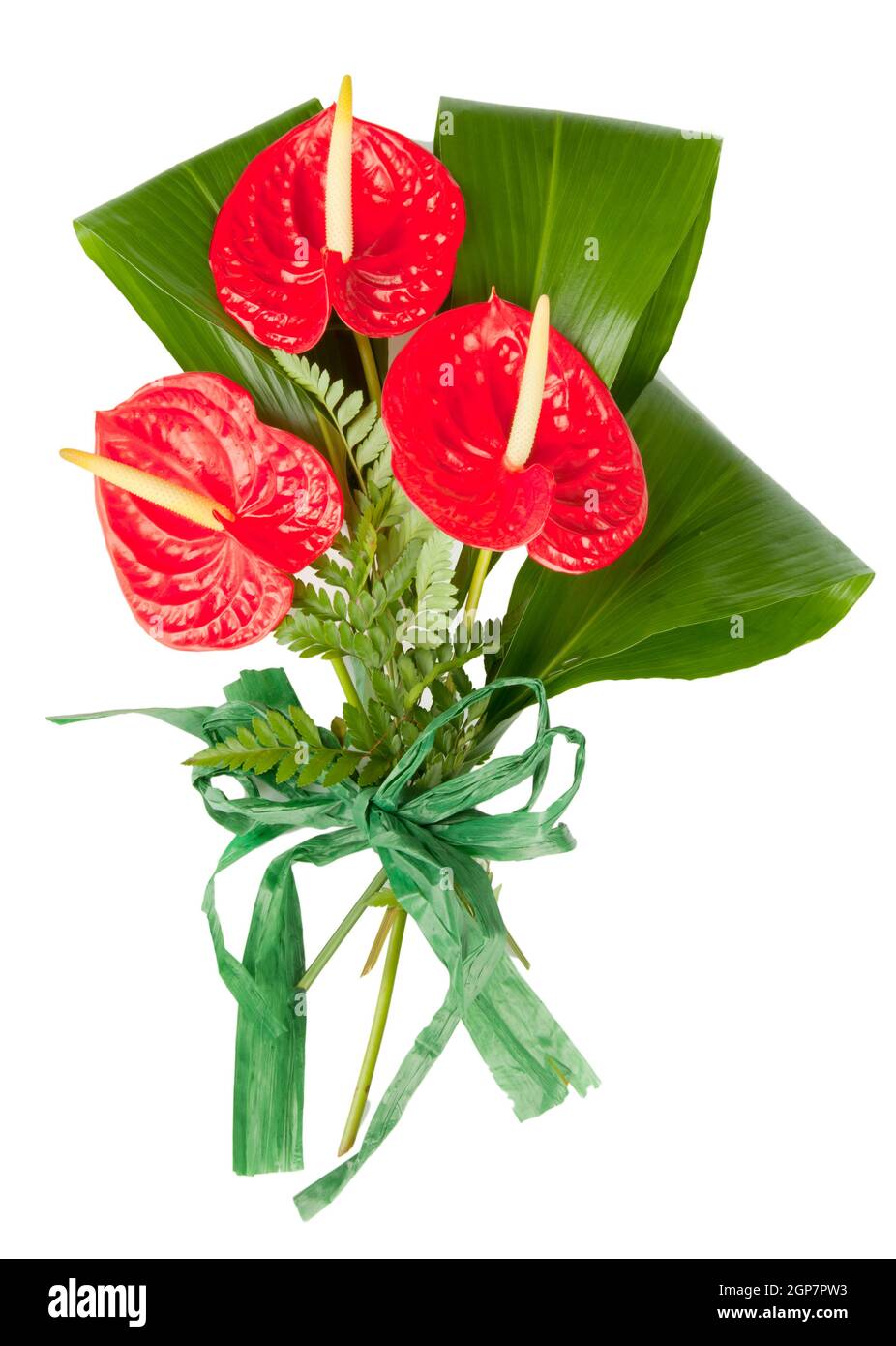 Fleur d'anthurium rouge isolé sur fond blanc Banque D'Images