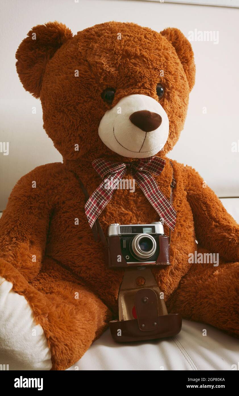 Grand ours en peluche avec vintage 35mm appareil photo. Il n'y a pas trankmarks Photo Stock - Alamy