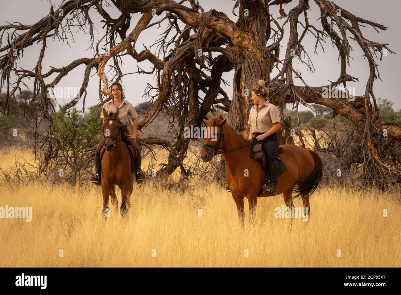 Deux femmes à cheval par arbre mort Banque D'Images